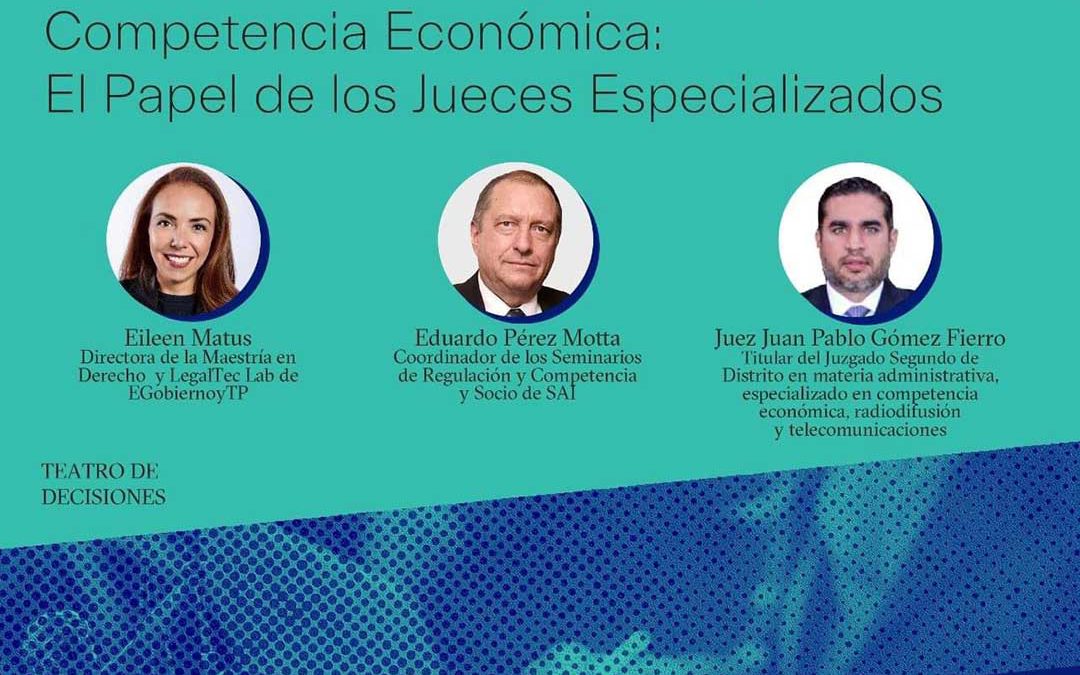 10o Seminario en Regulación y Competencia Económica: El papel de los Jueces especializados